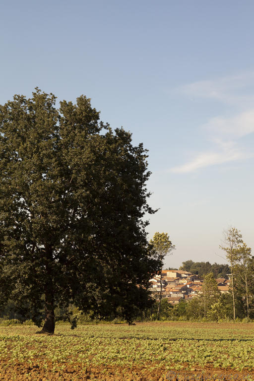 Agriturismo Creta Rossa Torre di Ruggiero Екстер'єр фото